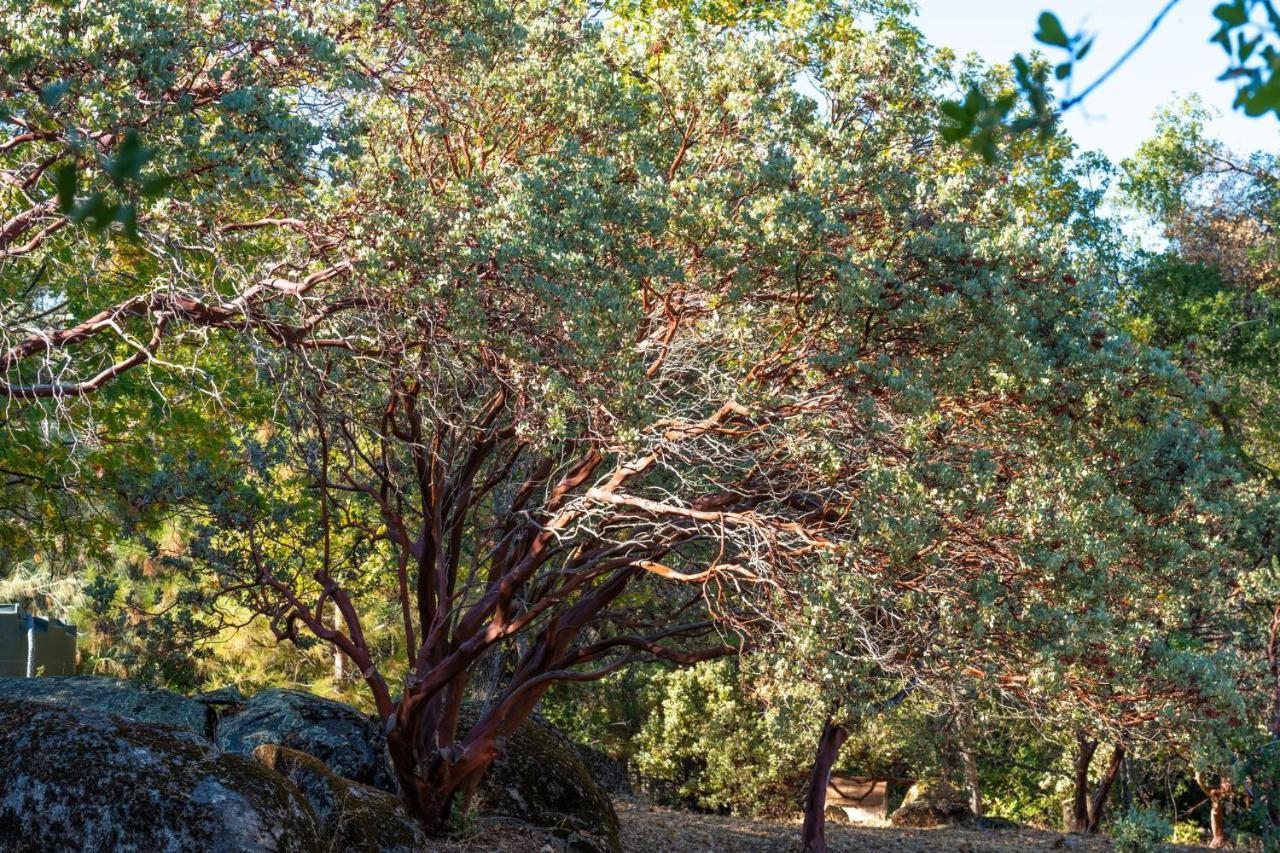 Holiday home Manzanita Rest *